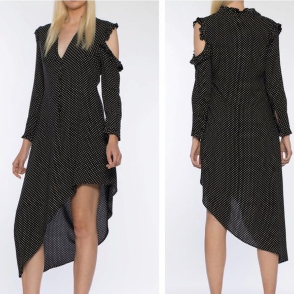 Walter Baker Dresses & Skirts - 21. WALTER BAKER Rowan Asymmetrical Dress